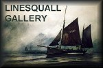 LINESQUALL GALLERY