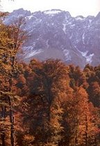 Sang-deh, Mazanderan