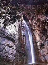 Waterfall, Golestan Forest