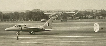 gnat.JPG (19562 bytes)