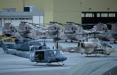 CH46s on duty during 'Desert Storm' in 1991. Picture courtesy of Tom Ross