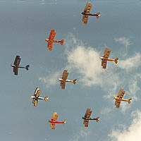 Diamond Nine of Tiger Moths