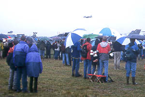 "What a brolly good display"