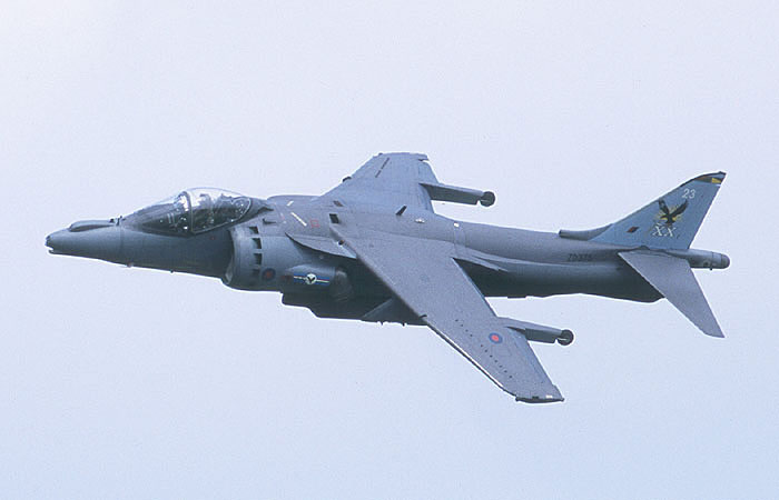 harrier.jpg (32510 bytes)