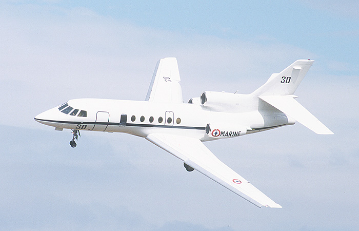 falcon50.jpg (76951 bytes)