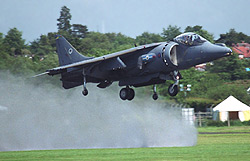 Harrier blow-job