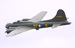 Sally B