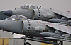 Sea Harriers