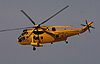 Sea King