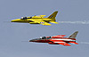 Gnat pair