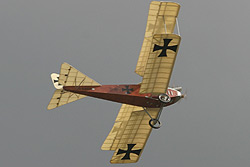 Albatros