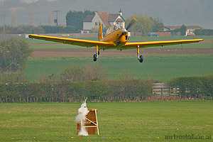 Strafing attack by a Chipmunk? Pic by Damien Burke