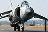 Sea Harrier