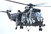 Junglie Sea King