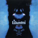Wunmi - What A See