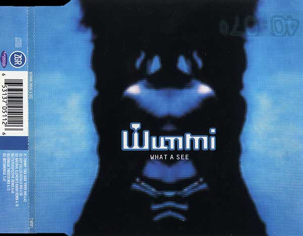 Wunmi - What A See