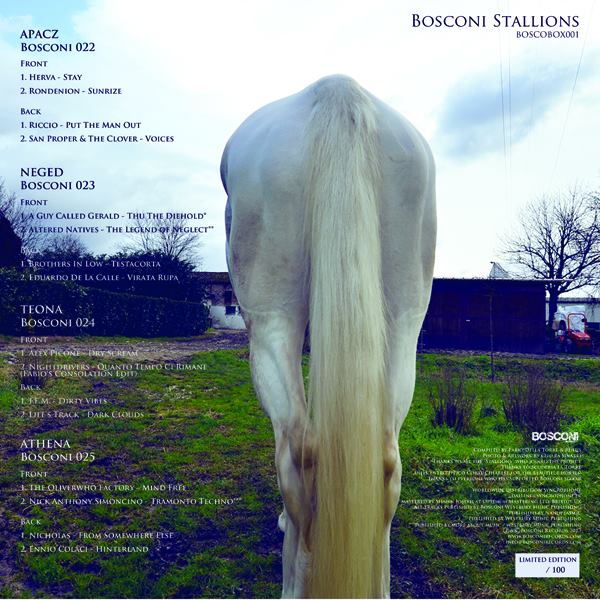Bosconi Stallions Boxset
