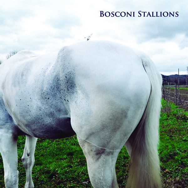 Bosconi Stallions Boxset