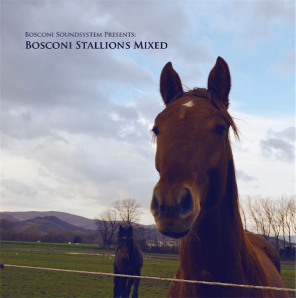 Bosconi Stallions Mixed