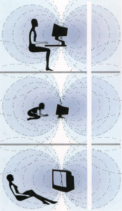 The magnetic field