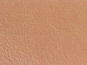 Biscuit Beige Leather